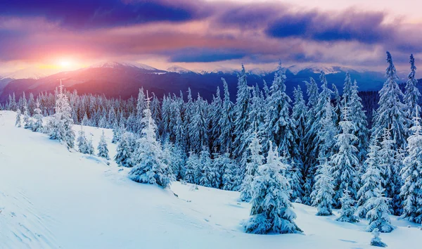 Soleado paisaje de invierno —  Fotos de Stock