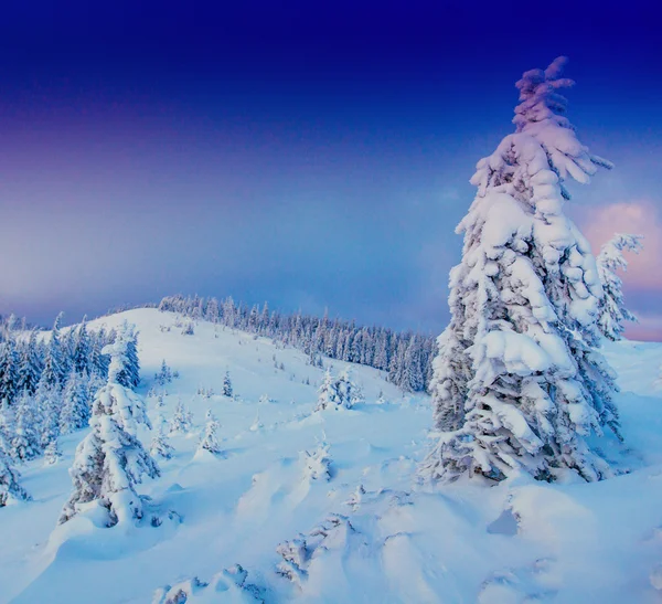 Słoneczny zimowy krajobraz — Zdjęcie stockowe