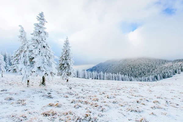 Güneşli kış manzarası — Stok fotoğraf