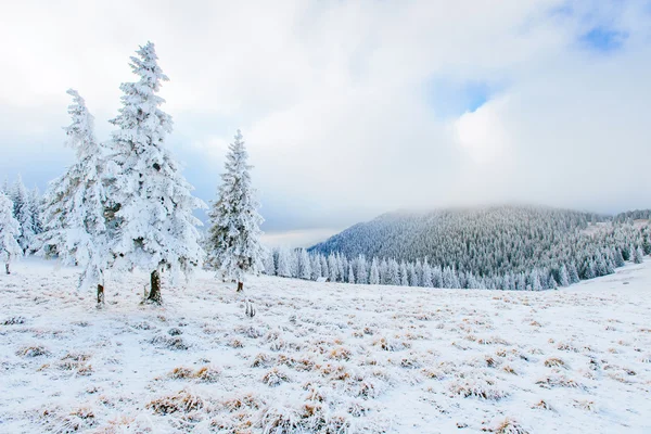 Paisagem ensolarada inverno — Fotografia de Stock