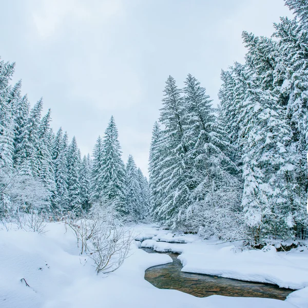 Gebirgsbach im Winter — Stockfoto