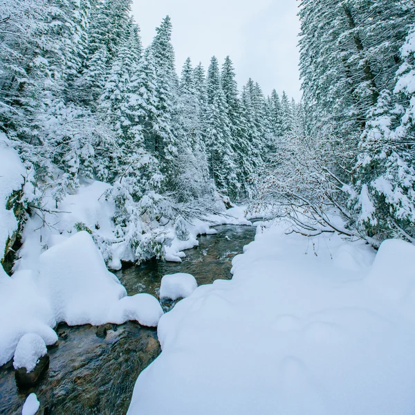 Bergbeek in de winter — Stockfoto