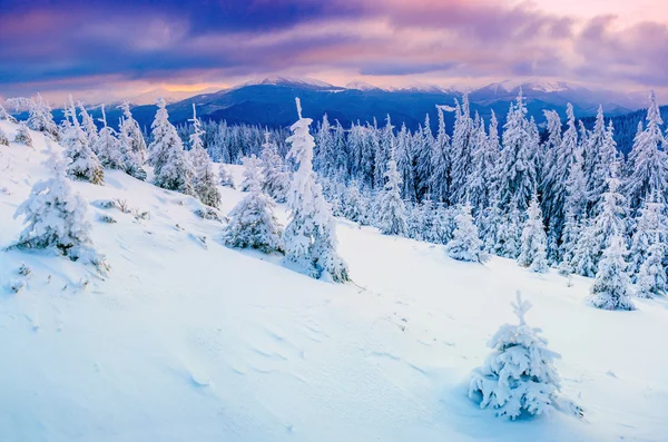 Słoneczny zimowy krajobraz — Zdjęcie stockowe