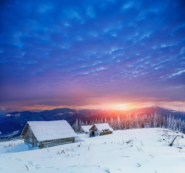 Huisje in besneeuwde bergen met prachtige winterbomen — Stockfoto