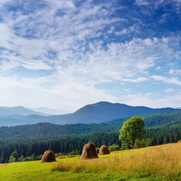 Krásný slunečný den je v horské krajině. Karpatské Ukrajině — Stock fotografie