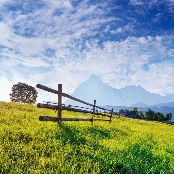 Holzzaun - schöne Wiese mit Wildblumen — Stockfoto