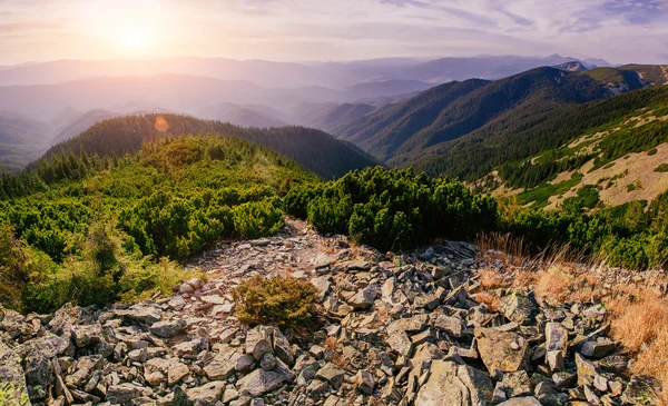 Fantastico tramonto sulle montagne dell'Ucraina. Mondo della bellezza . — Foto Stock