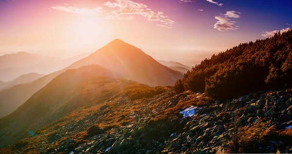 Magic sunset in the mountains of Ukraine Stock Image