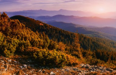Ukrayna'nın dağlarda fantastik günbatımı.