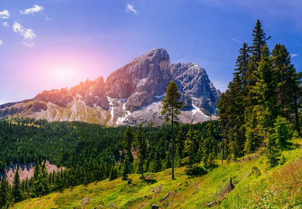 Tajemniczy Alp — Zdjęcie stockowe