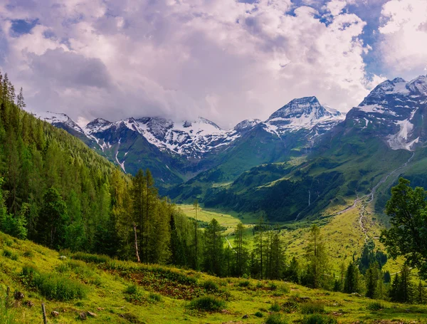阿尔卑斯山的壮丽景色 — 图库照片