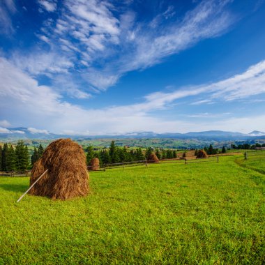 Güzel bir güneşli gün dağ manzarası var. Karpat, Ukrayna