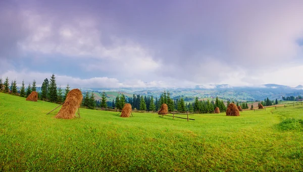 Beautiful sunny day is in mountain landscape. — Stock Photo, Image