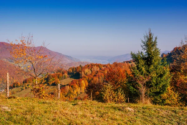 Höstlandskap — Stockfoto