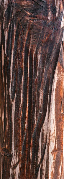 Carving na dřevo — Stock fotografie