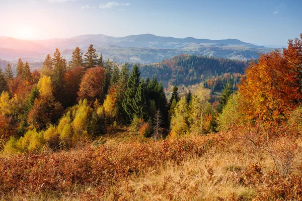 Paisaje otoñal — Foto de Stock