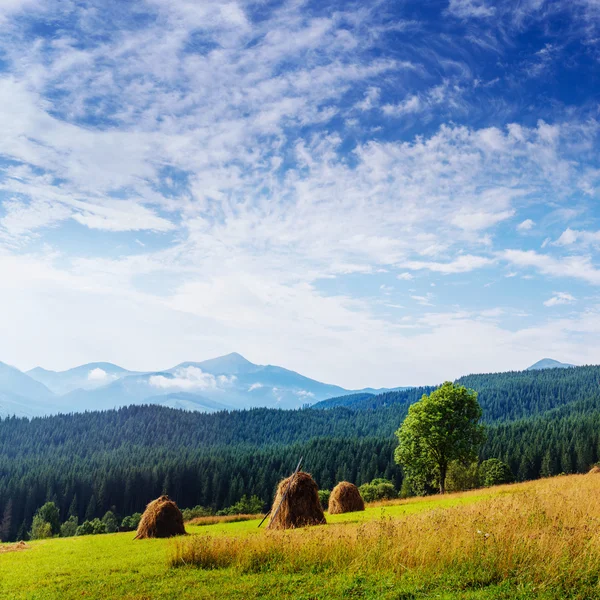 Schöner sonniger Tag in der Berglandschaft. — Stockfoto