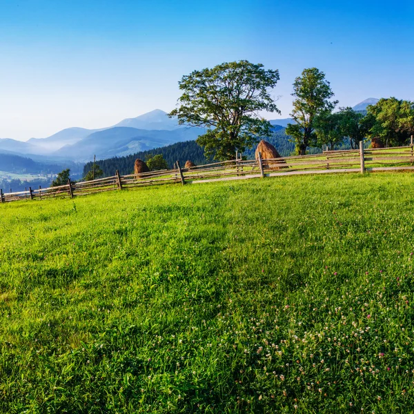 Hermoso día soleado está en el paisaje de montaña. — Foto de Stock