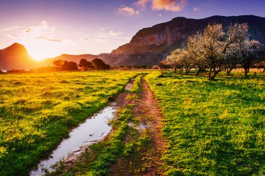 dağlarda günbatımı, çiçekli ağaçlar