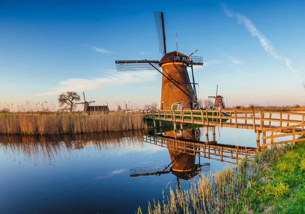 Traditionele Nederlandse windmolens van het kanaal Rotterdam. Holland. — Stockfoto