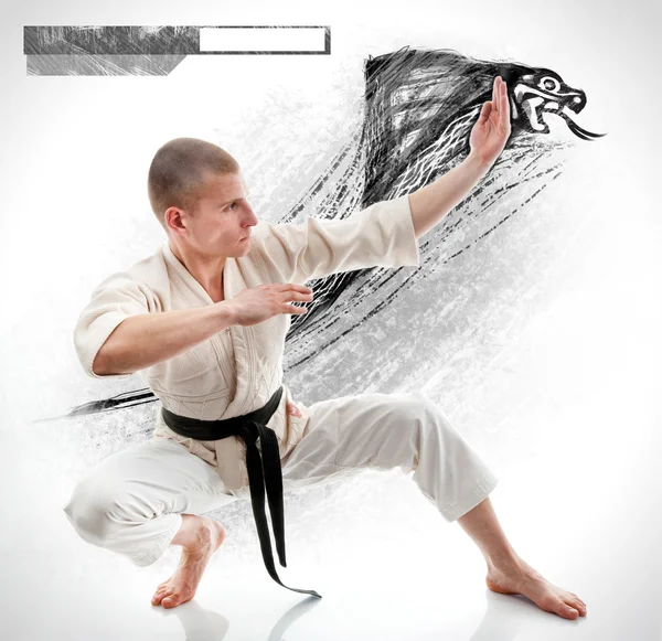Karate. Man in a kimono on the white background — Stock Photo, Image