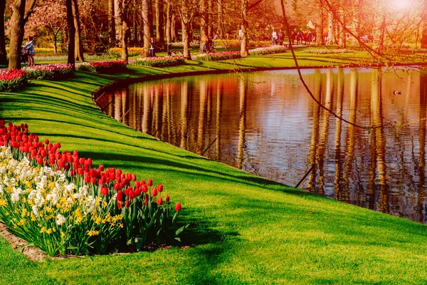 Un hermoso parque paisajístico de primavera. Flores florecientes . — Foto de Stock