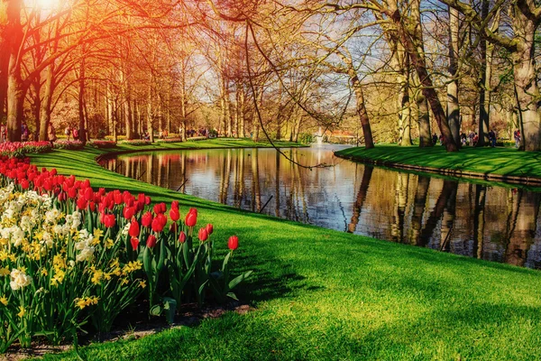 Un hermoso parque paisajístico de primavera. Flores florecientes . — Foto de Stock