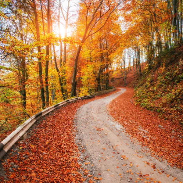 Autumn alley — Stok fotoğraf