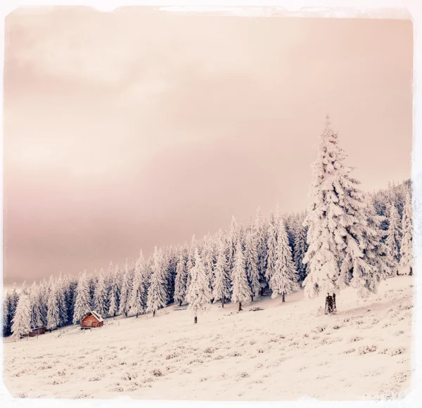 Téli táj, a hó, hegyek-Kárpátok, Ukrajna. — Stock Fotó