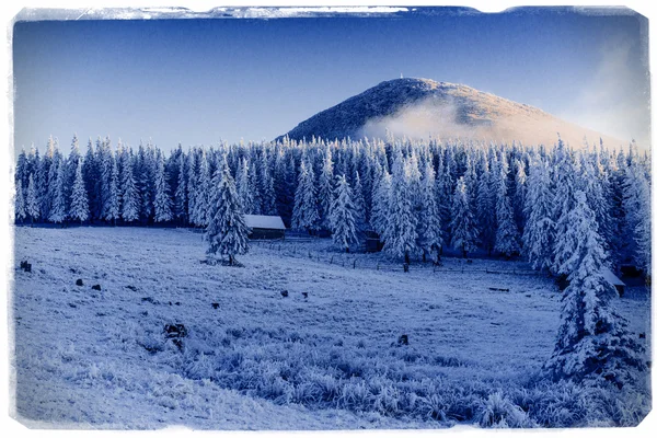 カルパチア山脈、ウクライナで雪と冬の風景. — ストック写真