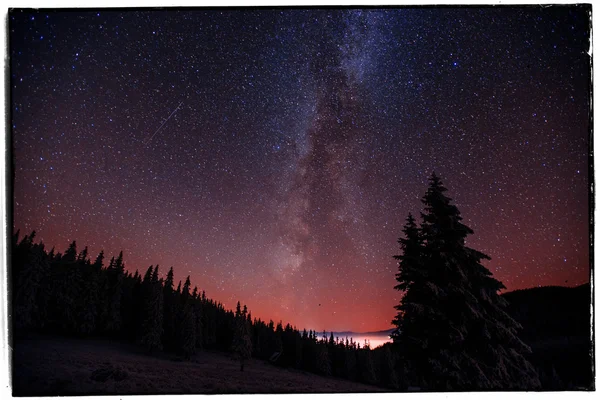 Волшебное дерево в звездной зимней ночи - Винтажный эффект — стоковое фото