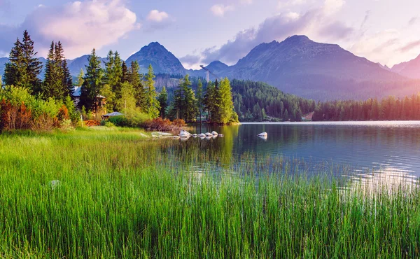 Majestätischer Bergsee im Nationalpark Hohe Tatra. — Stockfoto