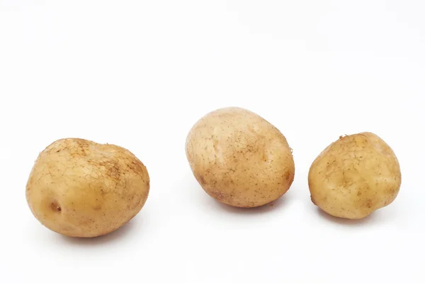 Ziemniaki odmian Kuras. Ziemniaki na białym tle — Zdjęcie stockowe