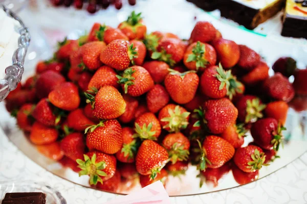 Un piatto di fragole appena raccolte — Foto Stock