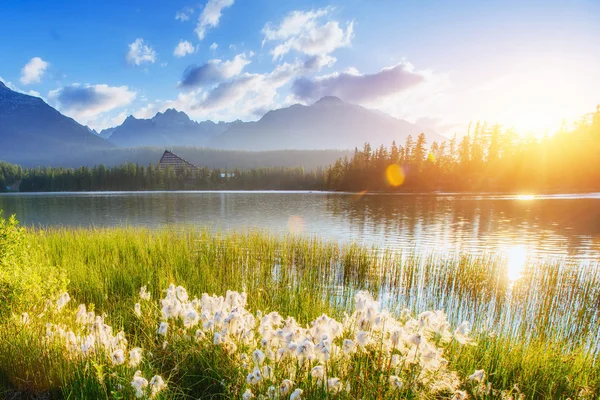 Majestic mountain lake in National Park High Tatra. Strbske ples — Stock Photo, Image