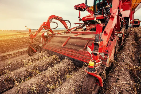 Traktor szántás fel a területen. — Stock Fotó