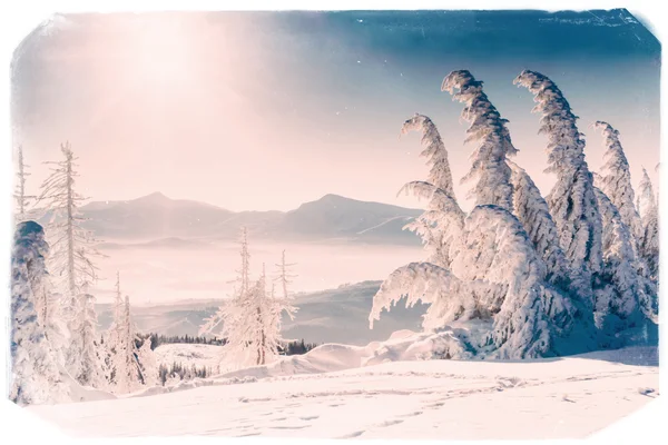 Winter landscape with snow in mountains Carpathians, Ukraine.Vin — Stock Photo, Image