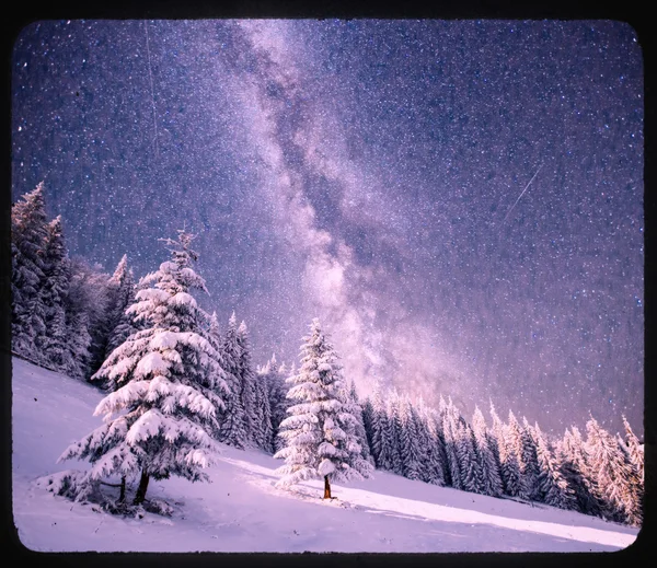 Sihirli ağaç yıldızlı kış gecesi — Stok fotoğraf