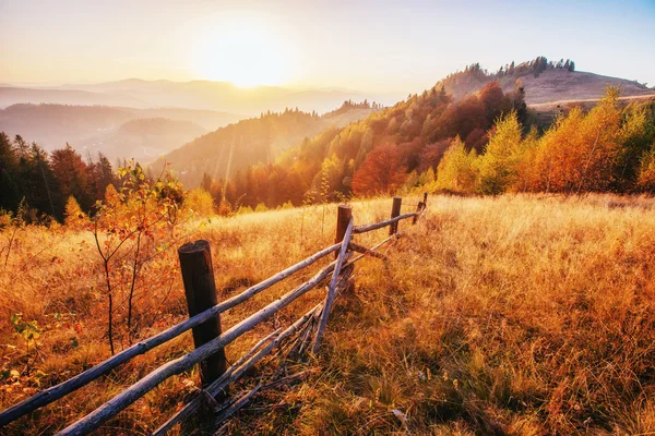 Lesní cesta na podzim. podzimní krajina. — Stock fotografie