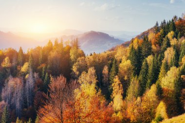 Karpatlar Rock massif.