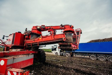 Kapalı kamyon ve Ekskavatör hasat.