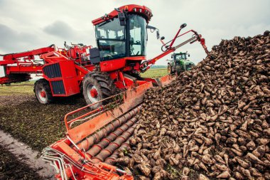 Yüklemeler hasat alanında.