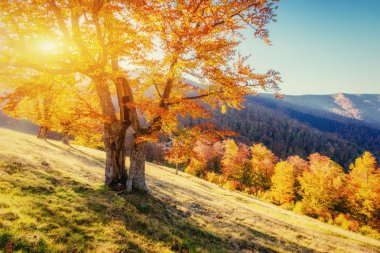 Karpatlar Rock massif.