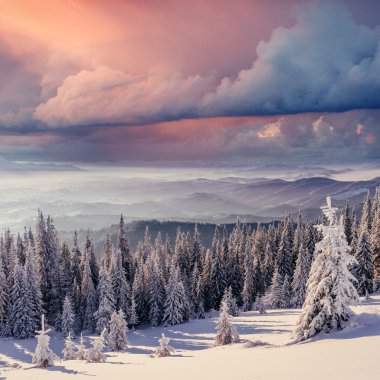 sis sonbahar dağlarda. Karpatlar. Ukrayna, Europe