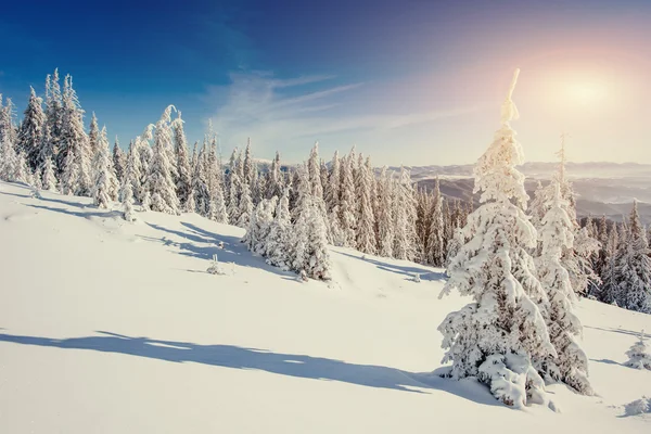 Fantastische Winterlandschaft in den Bergen der Ukraine — Stockfoto