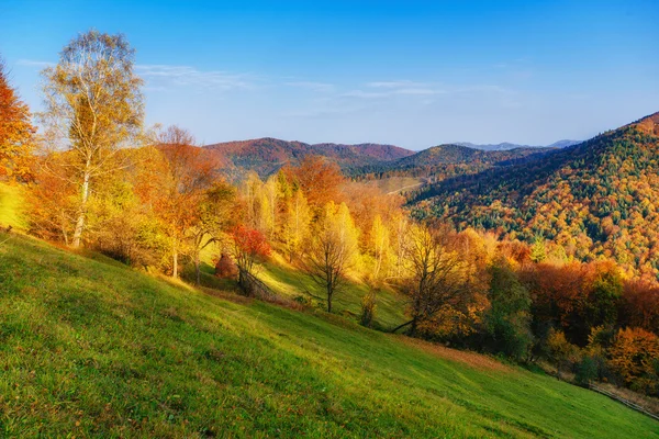 Rock massif in the Carpathians. — Stock Photo, Image