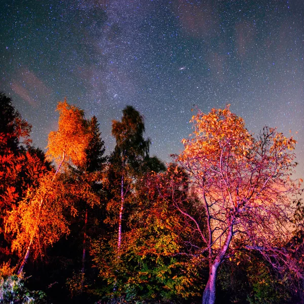 Głębokiego nieba astrophoto — Zdjęcie stockowe