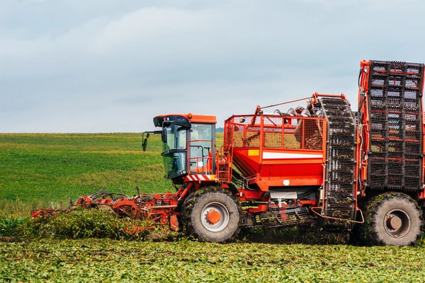 Burgonya betakarító és a traktor — Stock Fotó