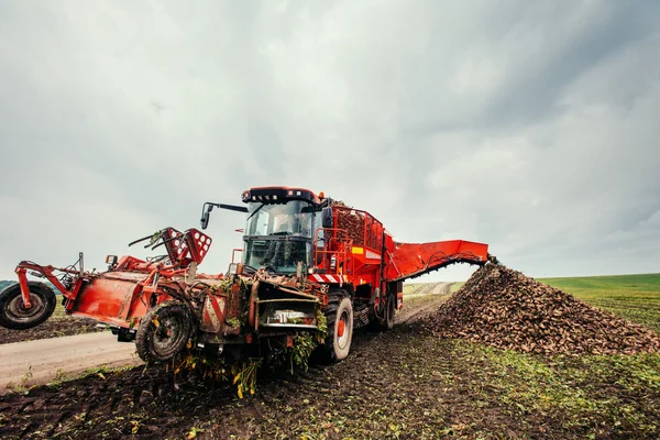 Downloads harvest on the field. — Stock Photo, Image