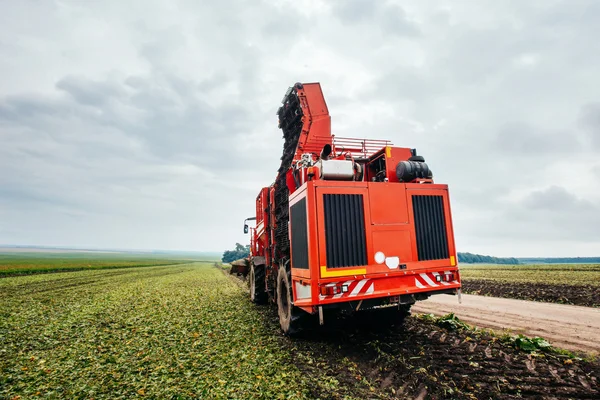 Burgonya betakarító és a traktor — Stock Fotó